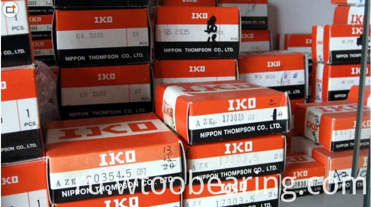 Japan IKO High Quality Needle Roller Bearing Na4920 with SGS